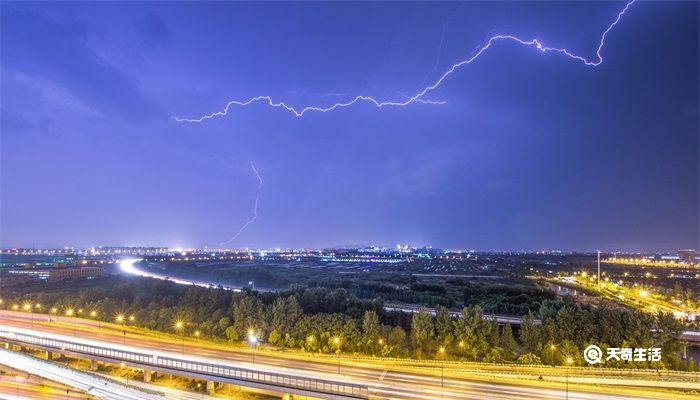 雷击木是什么木头 雷击木是啥木头