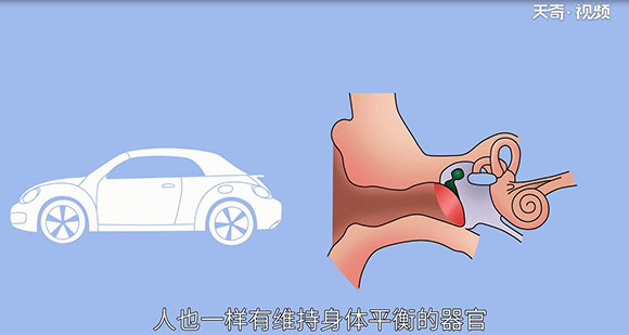 人为什么会晕车