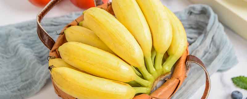 香蕉是发物吗 香蕉不能和什么食物一起吃