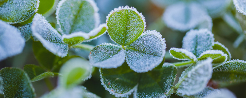 霜前冷,雪后寒的物理原因 霜前冷雪后寒是什么物理现象