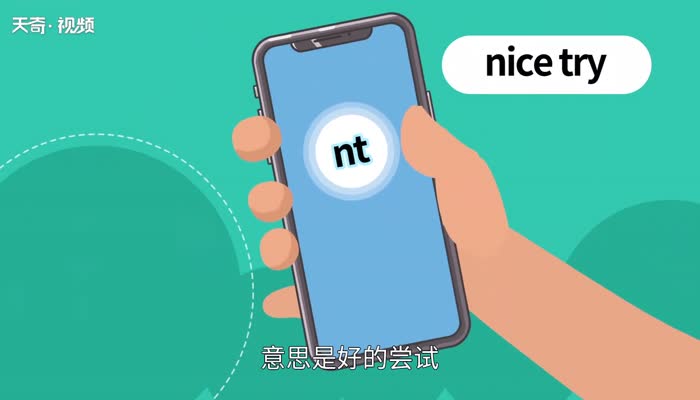 nt是什么意思  nt的意思