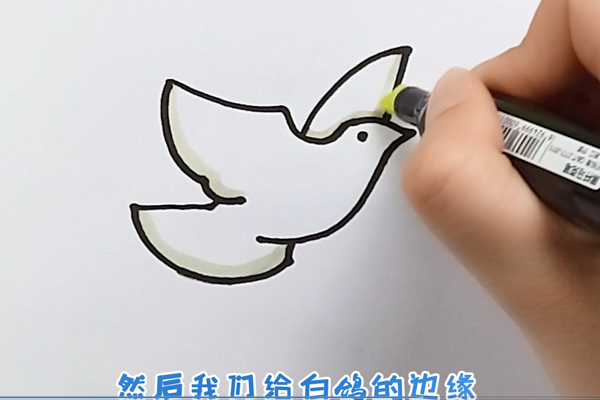 白鸽简笔画