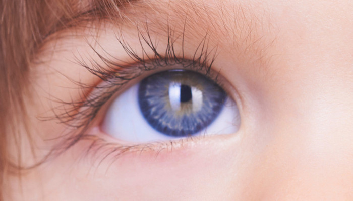 保护眼睛小建议十条有哪些 关于保护眼睛的建议10条 