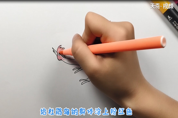 杜鹃鸟简笔画