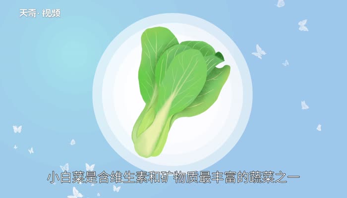 小白菜和大白菜的区别 小白菜是白菜吗