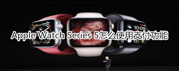Apple Watch Series 5怎么使用支付功能
