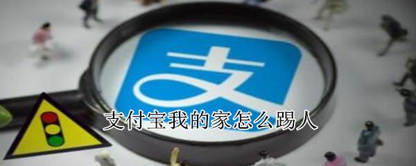 支付宝我的家怎么踢人