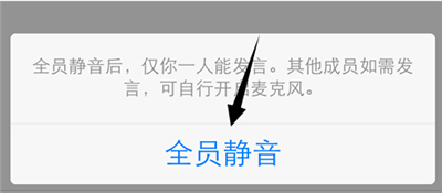 qq通话怎么全员静音