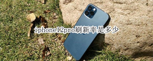 iphone12pro刷新率是多少