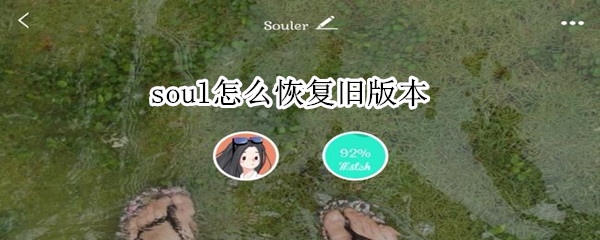 soul怎么恢复旧版本