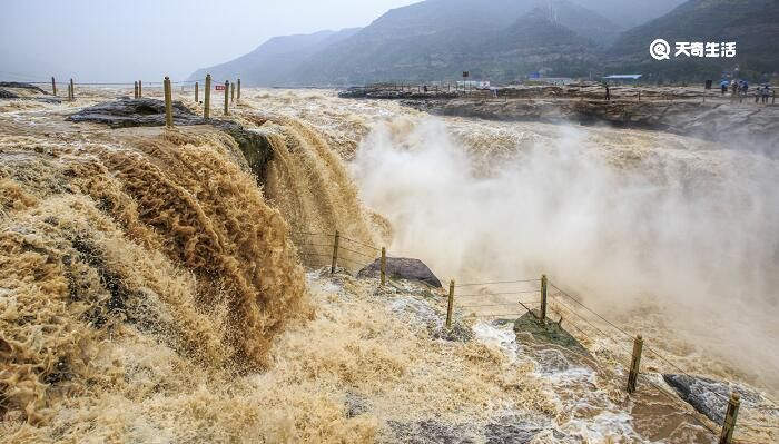 黄河之水天上来下一句 黄河之水天上来出自哪里