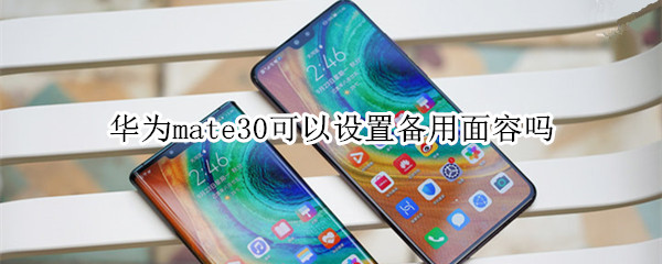 华为mate30可以设置备用面容吗