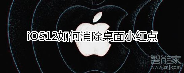 ios12设置红点消除