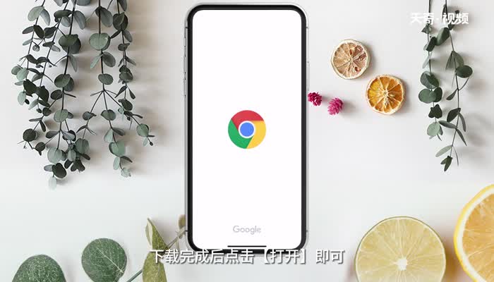 苹果手机怎么用Google浏览器 苹果手机用Google浏览器的方法