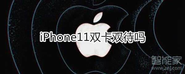 iPhone11双卡双待吗