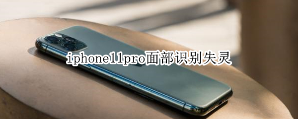 iphone11pro面部识别失灵