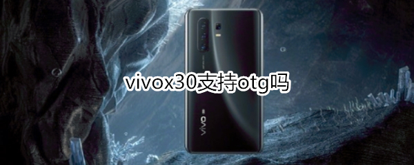 vivox30支持otg吗