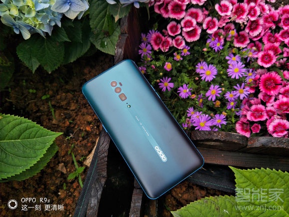 oppo reno10倍变焦版有粉色吗