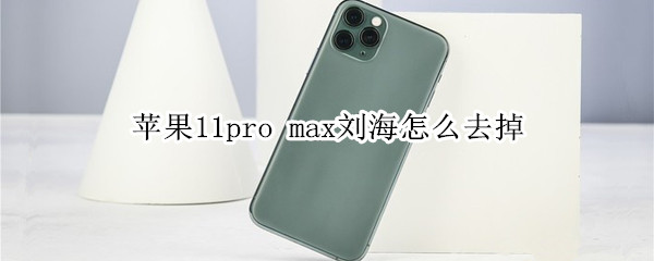 苹果11pro max刘海怎么去掉