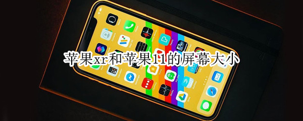 苹果xr和苹果11的屏幕大小