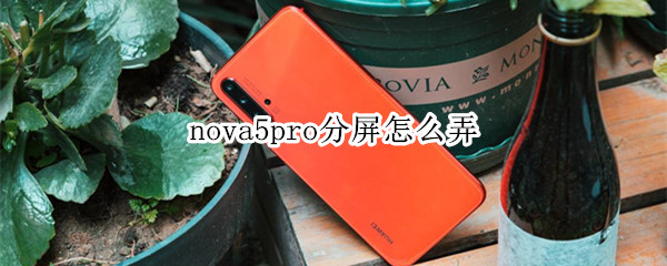 nova5pro分屏怎么弄