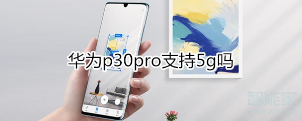 华为p30pr0支持5g吗