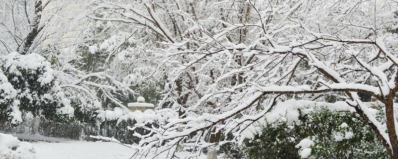 描写雪景的句子 描写雪景的句子有哪些