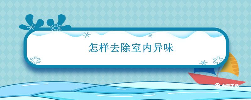 怎样去除室内异味 怎样去除室内异味妙招