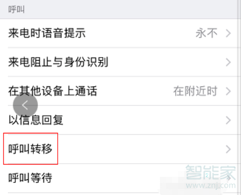 苹果手机呼叫转移怎么设置