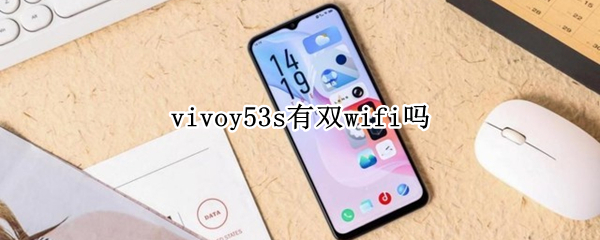 vivoy53s有双wifi吗