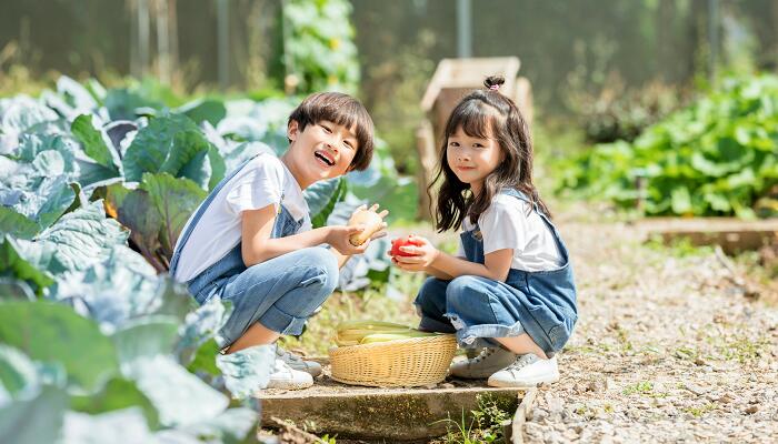 柯尔伯格三水平六阶段  柯尔伯格三水平六阶段是什么