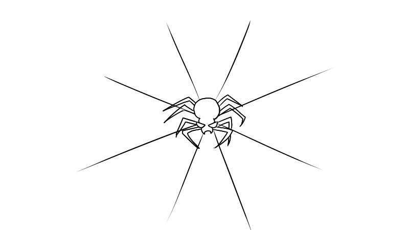 蜘蛛网简笔画