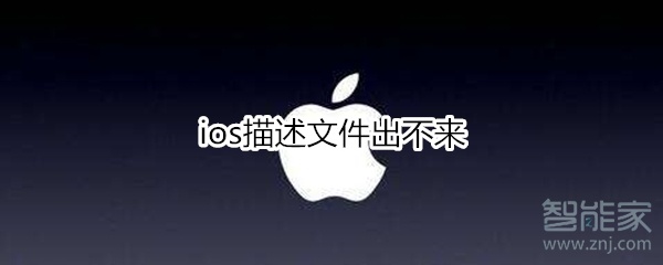 ios描述文件出不来