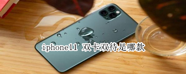 iphone11 双卡双待是哪款