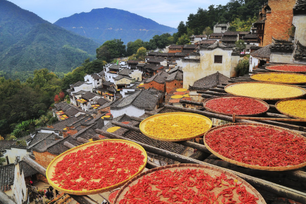 赏析山重水复疑无路柳暗花明又一村  游山西村古诗主题思想