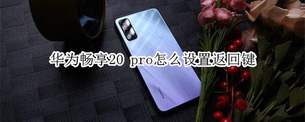 华为畅享20 pro怎么设置返回键