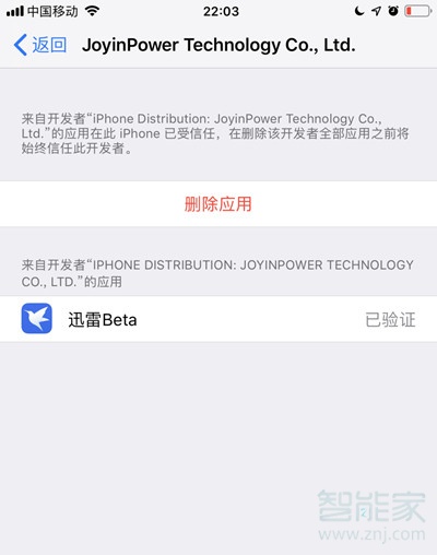 ios版迅雷如何安装