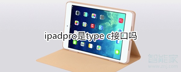 ipadpro是type c接口吗