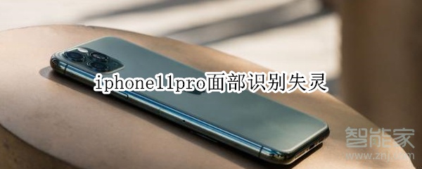 iphone11pro面部识别失灵