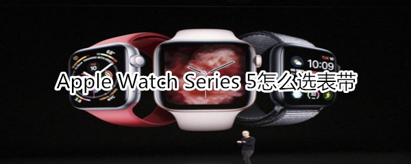 Apple Watch Series 5怎么选表带