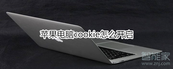 苹果电脑cookie怎么开启