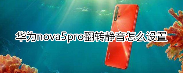 华为nova5pro怎么设置翻转静音