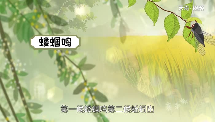 立夏三候是什么 立夏三候含义