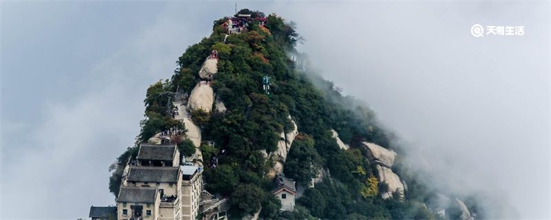 西岳指的是 西岳指的是哪一座山