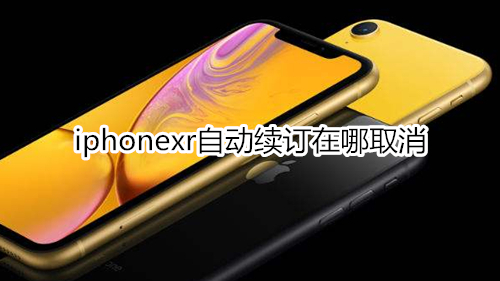 iphonexr自动续订在哪取消