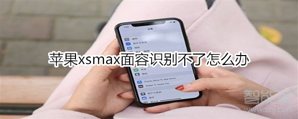 苹果xsmax面容识别不了怎么办