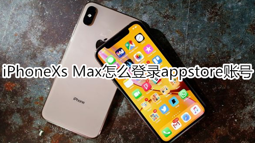 iPhoneXs Max怎么登录appstore账号