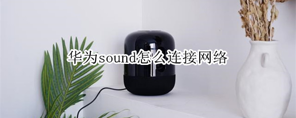 华为sound怎么连接网络