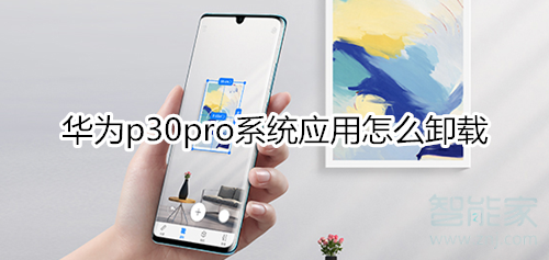 华为p30pro系统应用怎么卸载