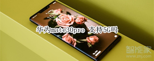 华为mate30pro 支持5G吗